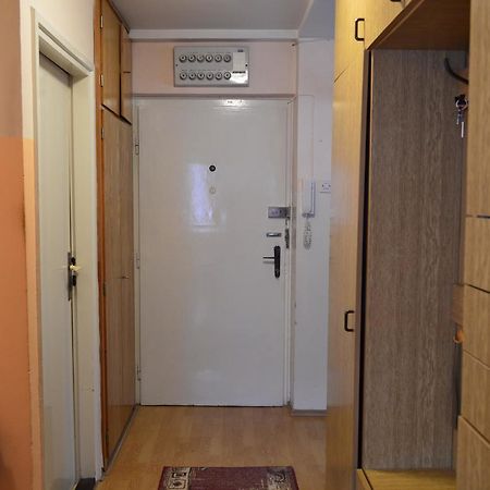 Apartman Nikolic Бор Екстер'єр фото
