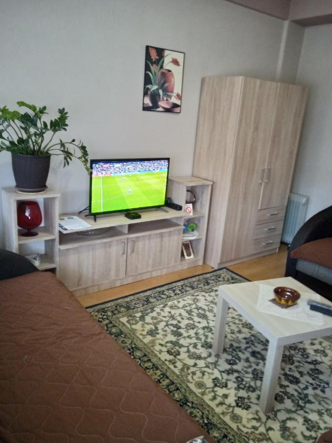 Apartman Nikolic Бор Екстер'єр фото