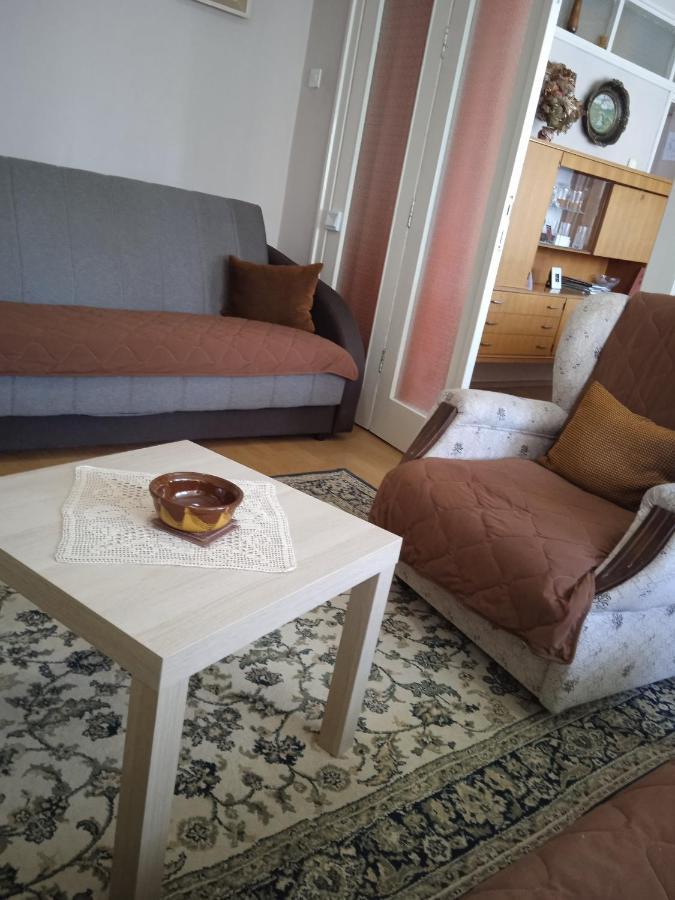 Apartman Nikolic Бор Екстер'єр фото