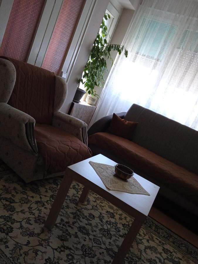 Apartman Nikolic Бор Екстер'єр фото