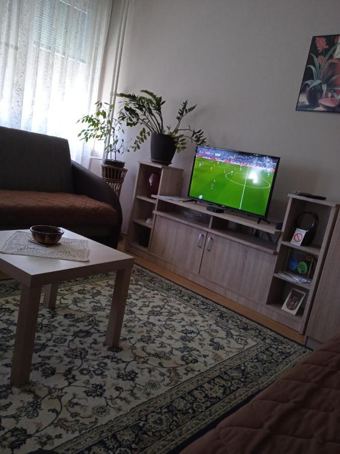 Apartman Nikolic Бор Екстер'єр фото