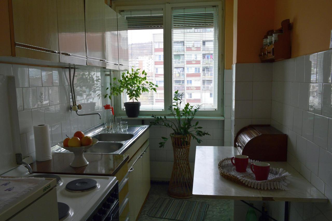Apartman Nikolic Бор Екстер'єр фото
