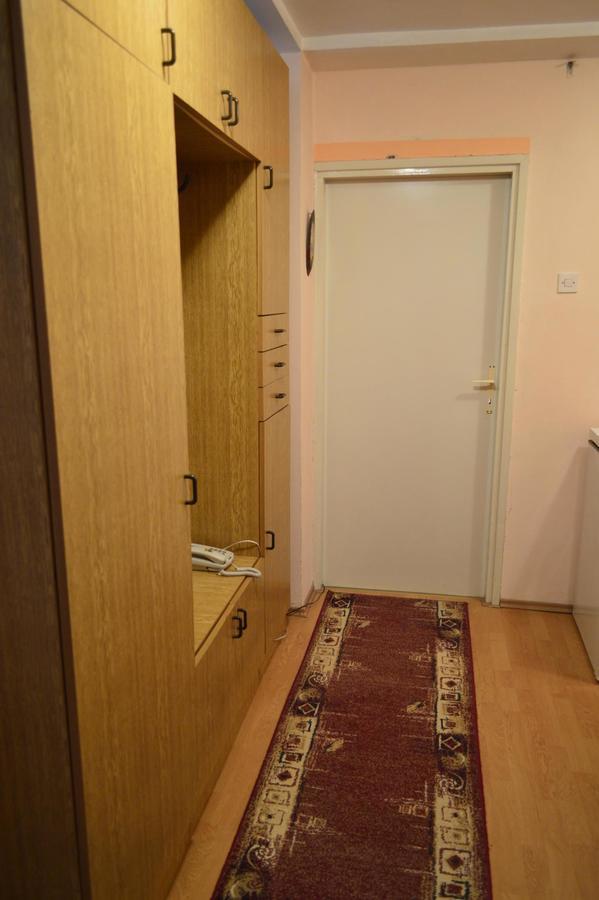 Apartman Nikolic Бор Екстер'єр фото
