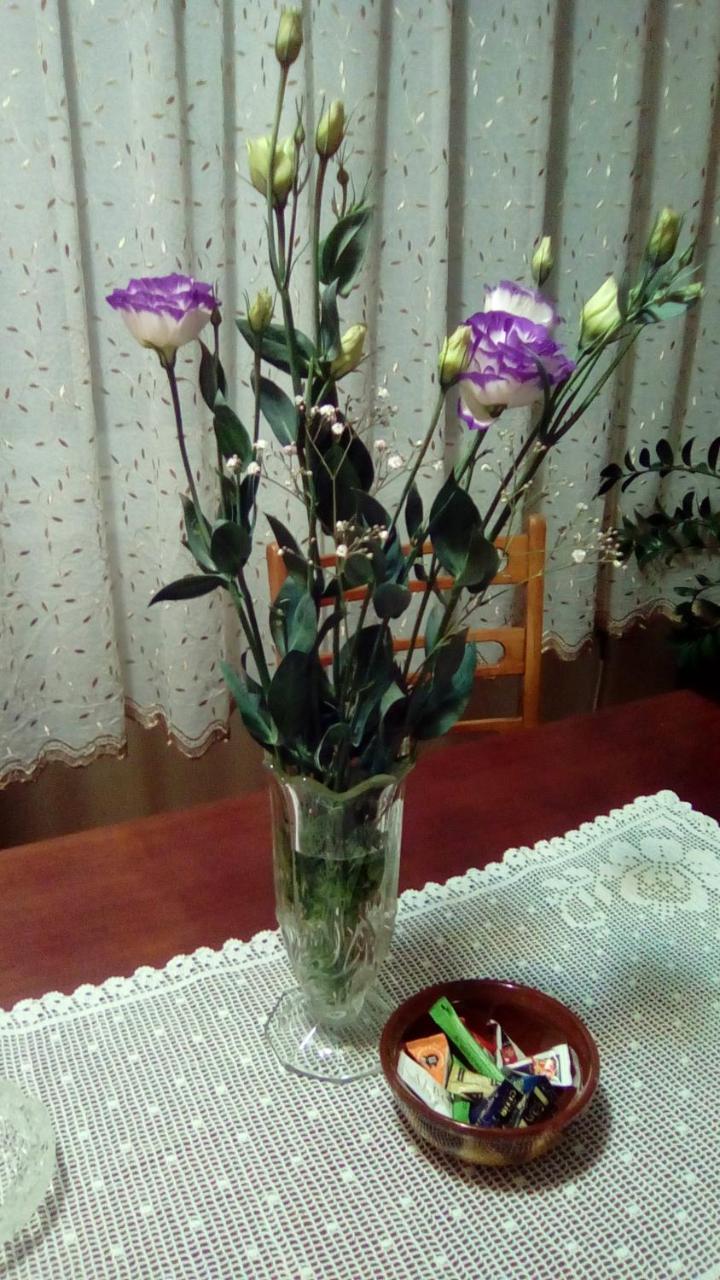 Apartman Nikolic Бор Екстер'єр фото